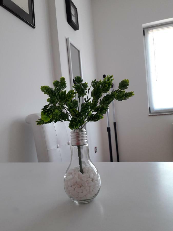 Apartman Dunja Ns 2 Novi Sad Exterior foto